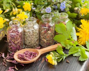 Phytotherapie-les-plantes-n-ont-pas-toutes-la-meme-qualite_width1024
